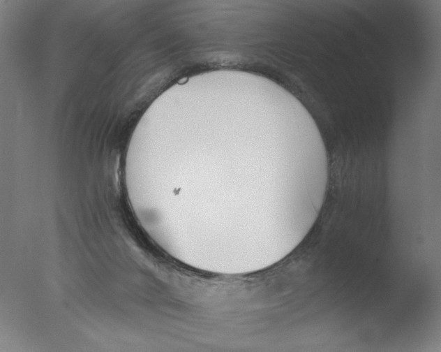 X0000076070024200610202026