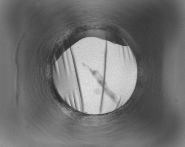 X0000076070025200610202026