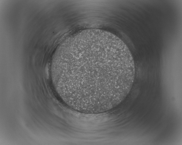 X0000076070026200610202026