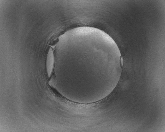 X0000076070027200610202026