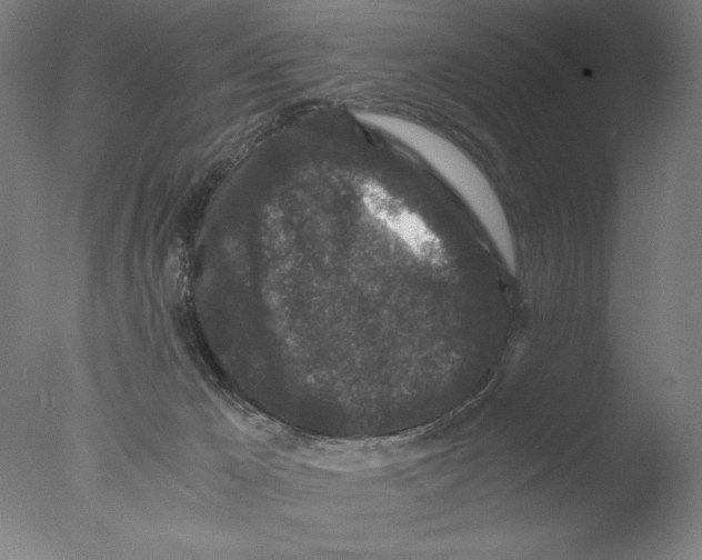 X0000076070029200610202026