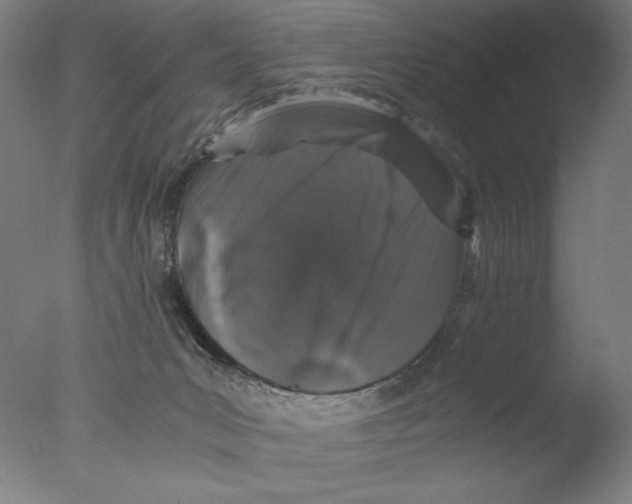 X0000076070031200610202026