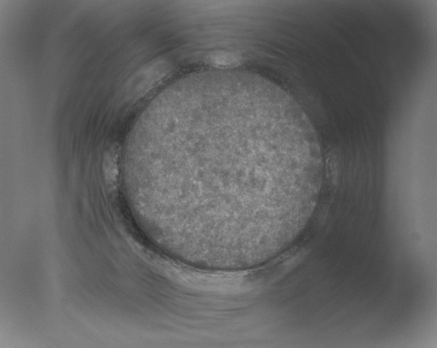 X0000076070032200610202026