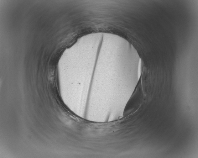 X0000076070033200610202026