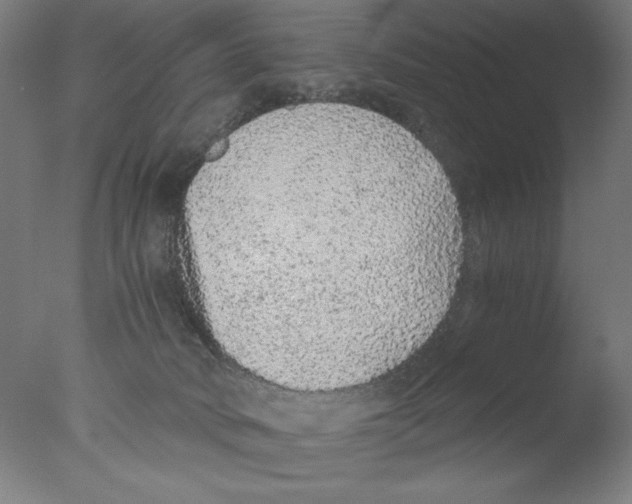 X0000076070034200610202026