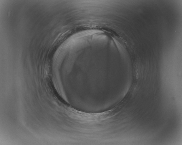 X0000076070035200610202026