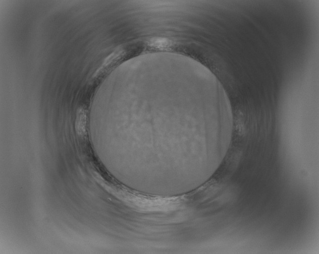 X0000076070036200610202026