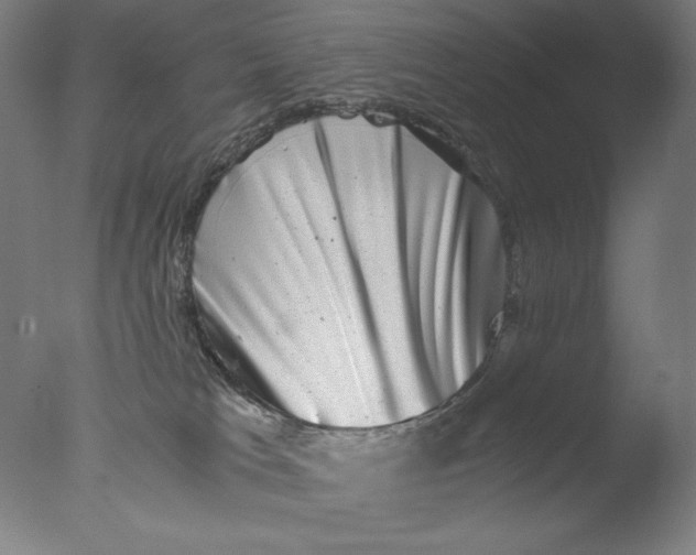 X0000076070037200610202026