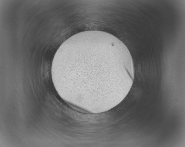 X0000076070038200610202026