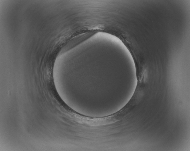 X0000076070039200610202026