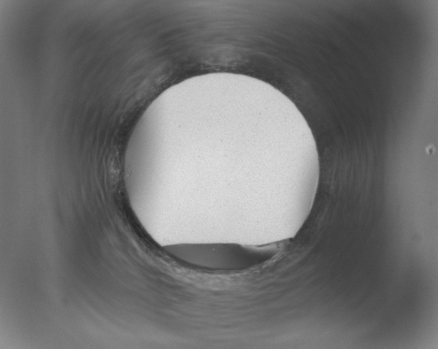 X0000076070040200610202026