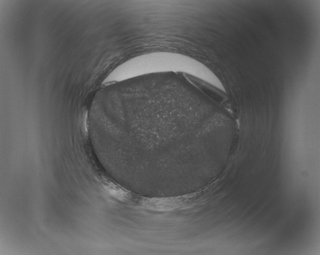 X0000076070041200610202025