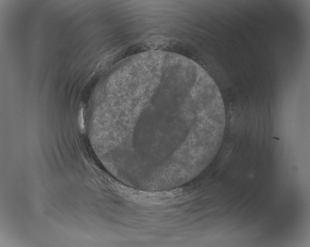 X0000076070042200610202025