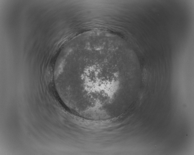 X0000076070043200610202025