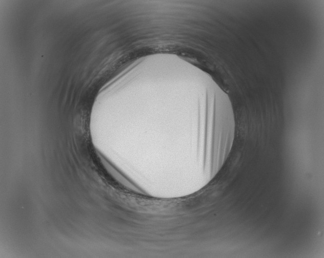 X0000076070044200610202025