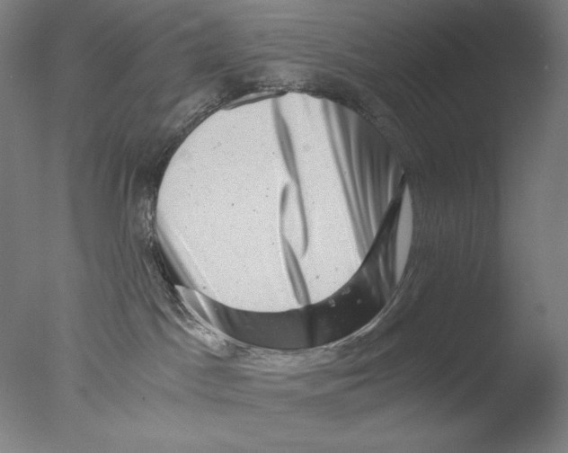 X0000076070045200610202025