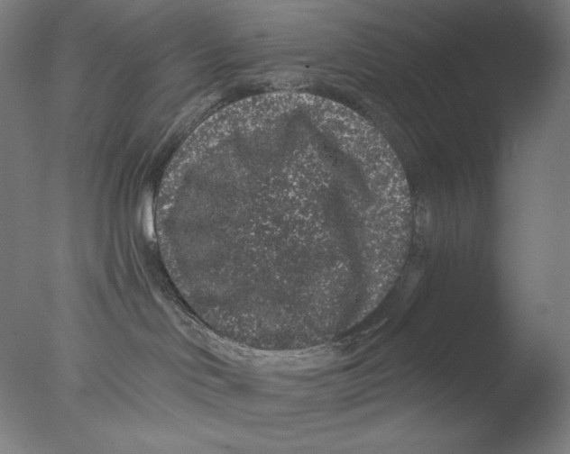 X0000076070046200610202025