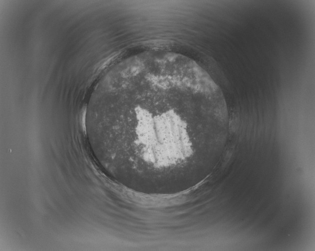 X0000076070047200610202025