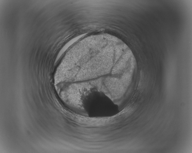 X0000076070048200610202025