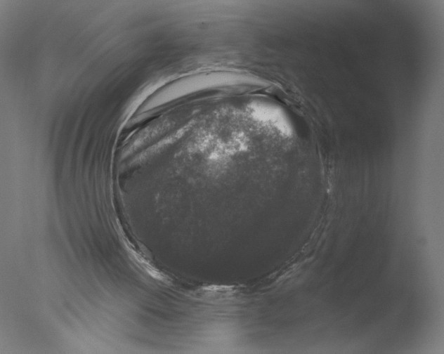 X0000076070052200610202025