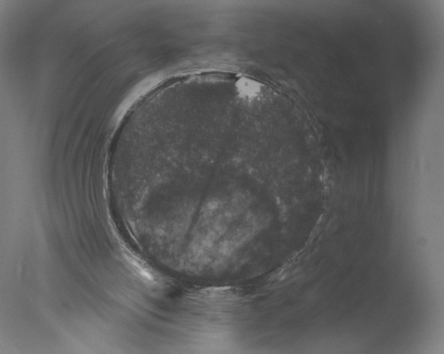 X0000076070054200610202025