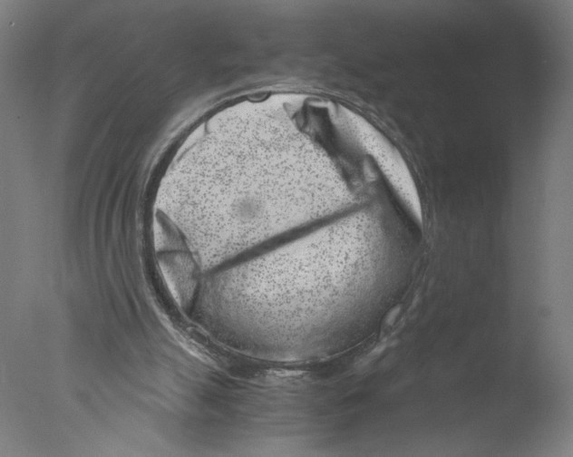 X0000076070055200610202025