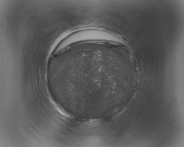 X0000076070056200610202025