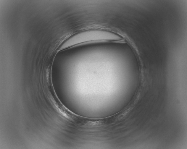 X0000076070057200610202025