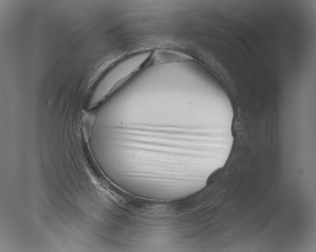 X0000076070058200610202025