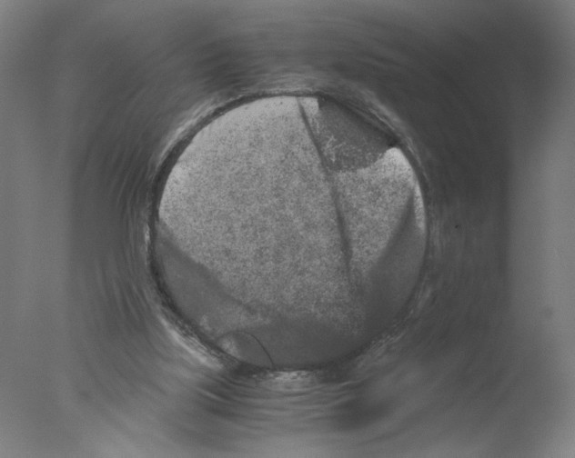 X0000076070059200610202025