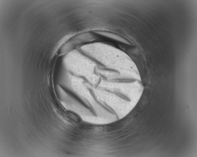 X0000076070060200610202025