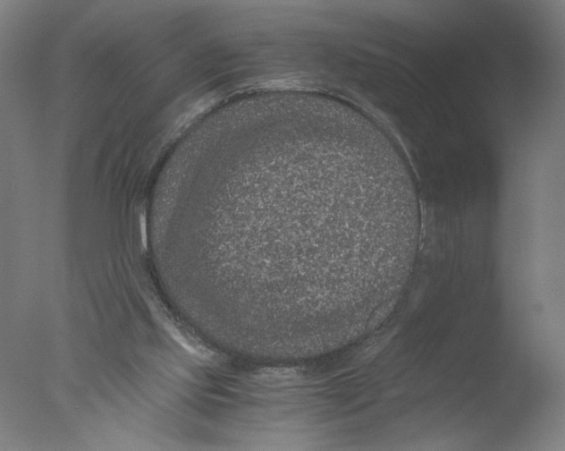 X0000076070061200610202025