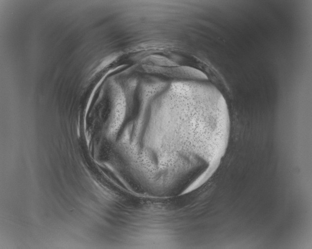 X0000076070062200610202025