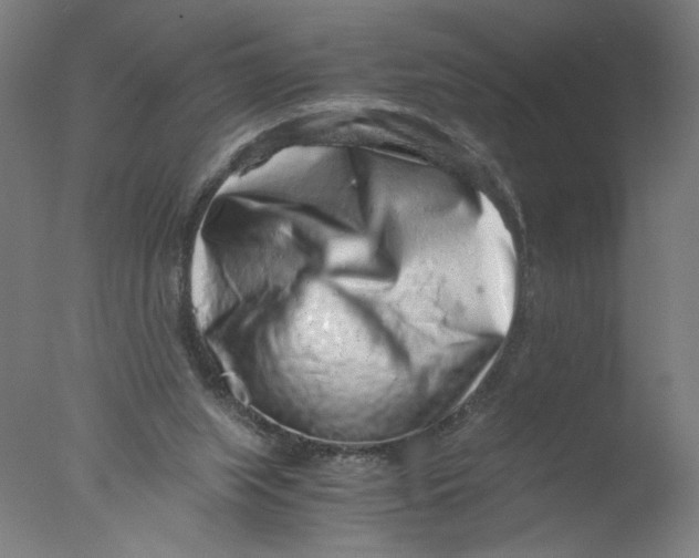 X0000076070063200610202025