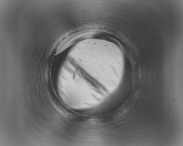 X0000076070064200610202025