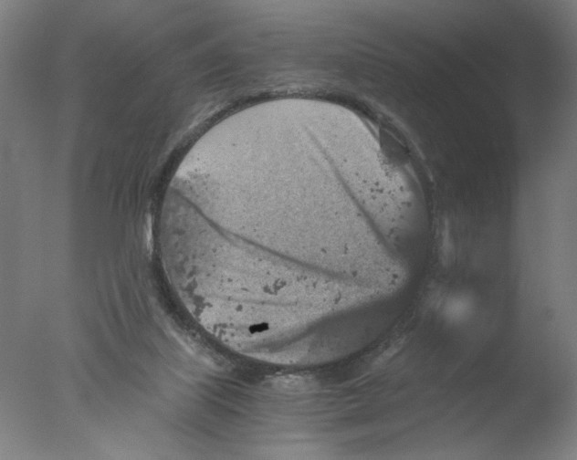 X0000076070067200610202025