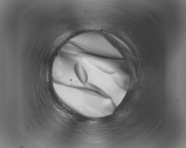 X0000076070068200610202025