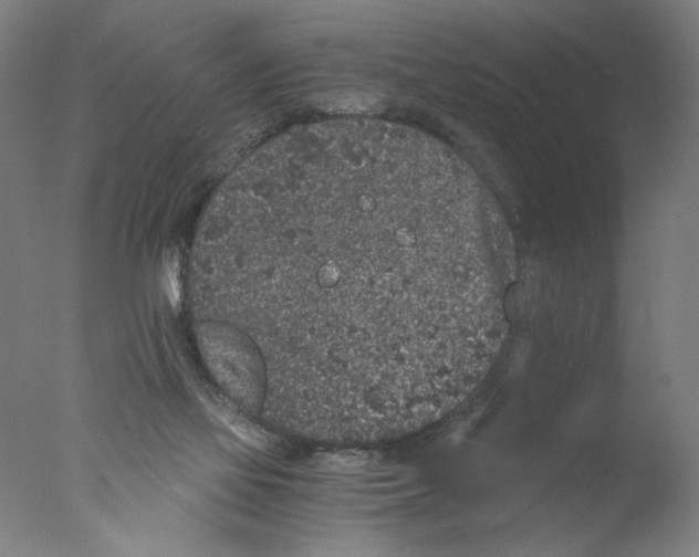 X0000076070069200610202025