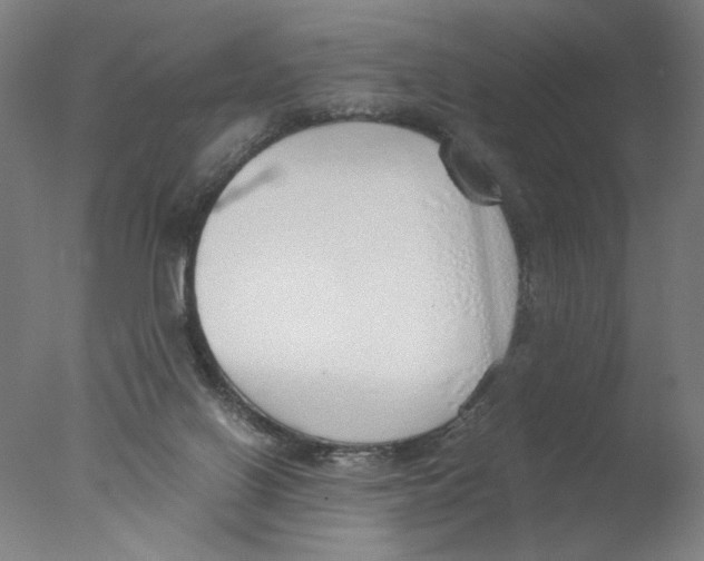 X0000076070070200610202025