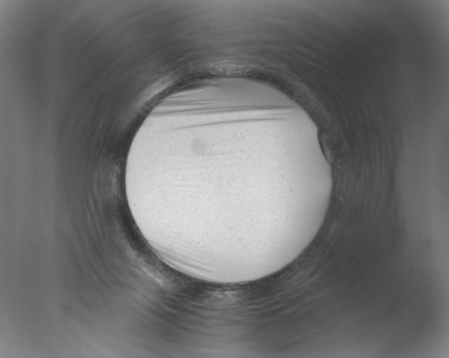 X0000076070071200610202025