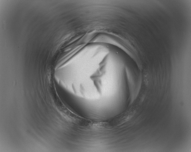 X0000076070072200610202025