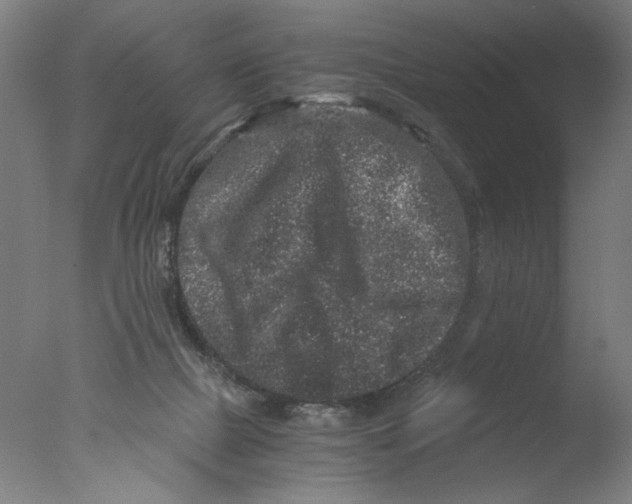 X0000076070073200610202025