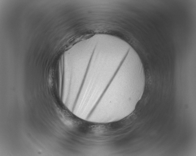 X0000076070074200610202025