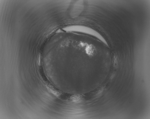 X0000076070076200610202025