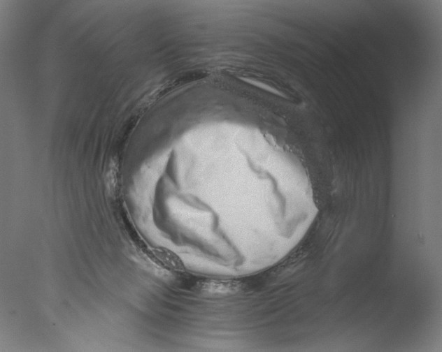 X0000076070077200610202025