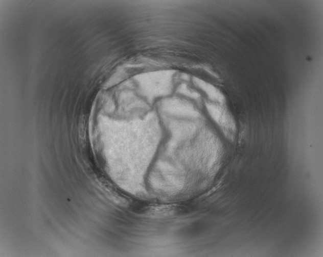 X0000076070078200610202025