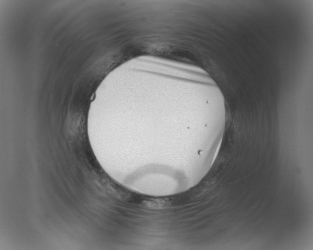 X0000076070079200610202025