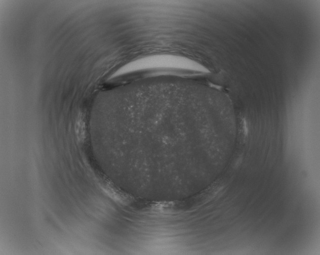 X0000076070080200610202025