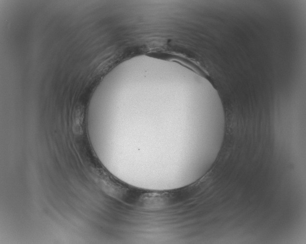 X0000076070082200610202025