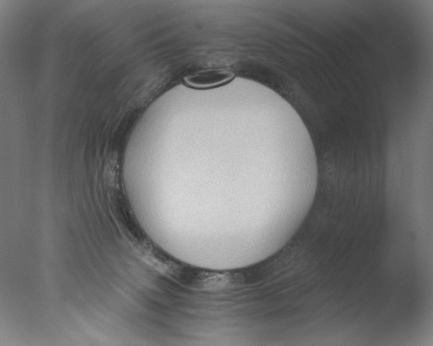 X0000076070083200610202025